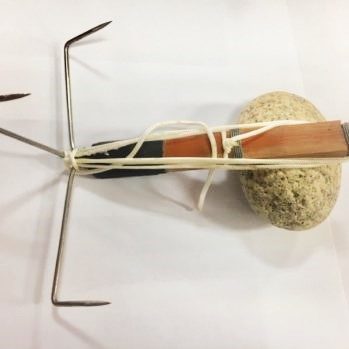 PULPERA-RAÑA Poutada