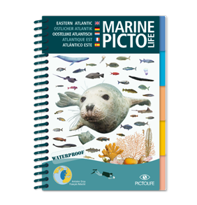Marine PICTOLIFE Atlantico Este. 251 especies- (waterproof)