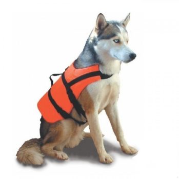 Chaleco SEGURIDAD para mascotas