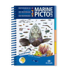 Marine PICTOLIFE Mediterráneo. 251 especies- (waterproof)