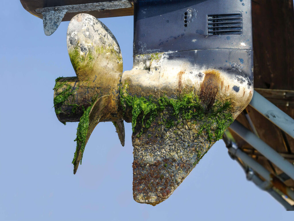 LO QUE OCURRE CUANDO NO SE USA UN ANTIFOULING