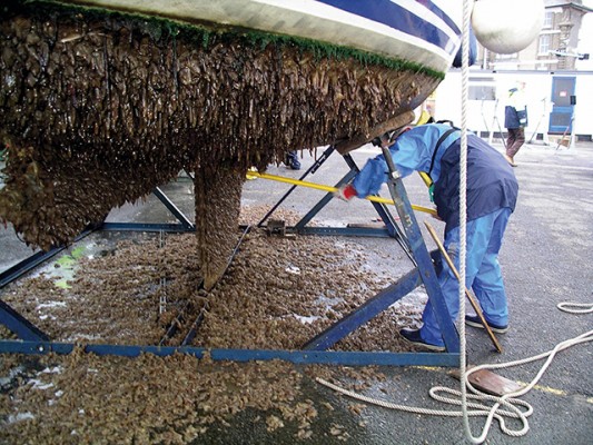 LO QUE OCURRE CUANDO NO SE USA UN ANTIFOULING