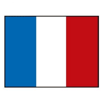 Bandera FRANCIA