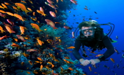 SUBMARINISMO DEPORTIVO