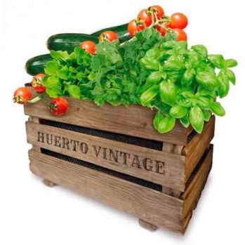 CAJA CULTIVO HUERTO VINTAGE ECO