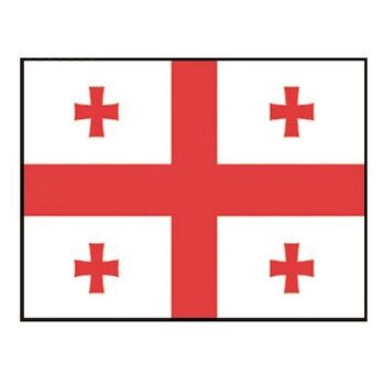 Bandera GEORGIA
