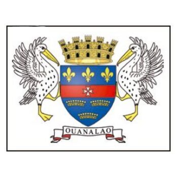 Bandera SAN BARHELEMY