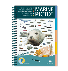 Marine PICTOLIFE Atlantico Este. 251 especies- (waterproof)