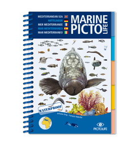 Marine PICTOLIFE Mediterráneo. 251 especies- (waterproof)